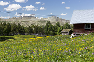 KA_150704_33