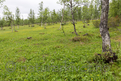 KA_150709_38