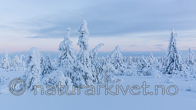 KA_160109_134