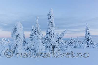 KA_160109_135