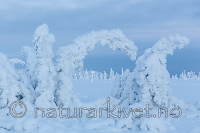 KA_160109_146
