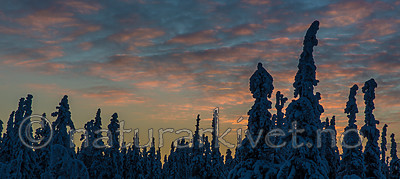 KA_160109_25