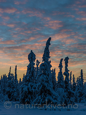 KA_160109_26
