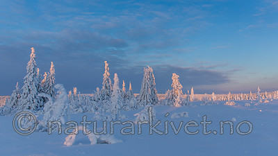 KA_160109_52