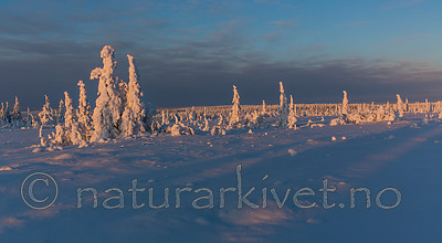 KA_160109_63