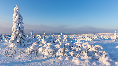 KA_160109_81
