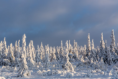KA_160109_87