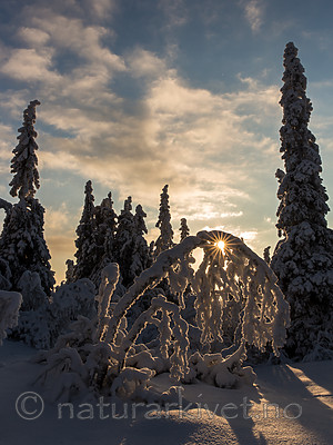 KA_160109_88