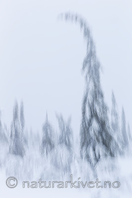 KA_160110_10