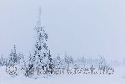 KA_160110_14