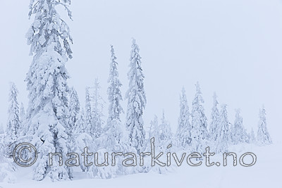 KA_160110_20