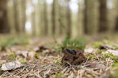 KA_170420_35 / Sarcosoma globosum / Svartgubbe