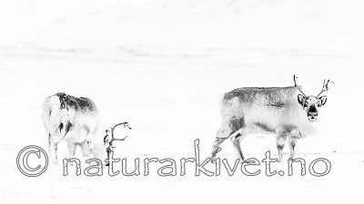 KA_180302_107-2