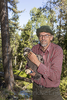 KA_180608_96 / Haliaeetus albicilla / Havørn