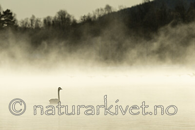 KA_191129_24