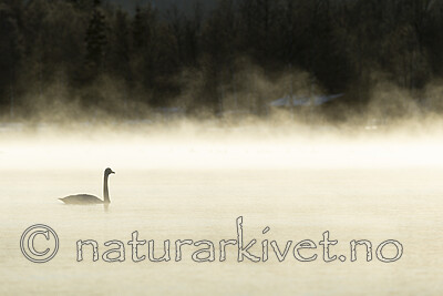 KA_191129_28