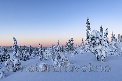 KA_210105_31