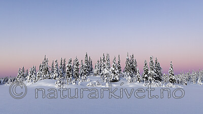 KA_210105_38