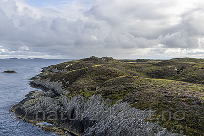 KA_210815_58