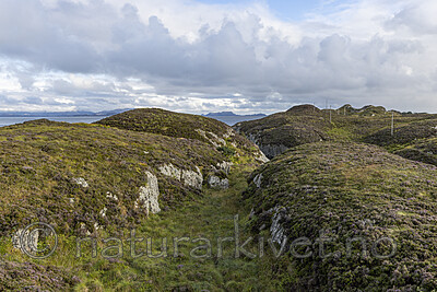 KA_210815_59
