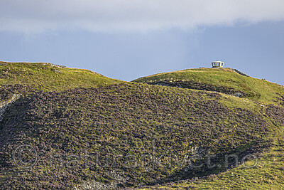 KA_210815_71