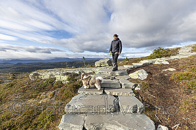 KA_211016_13 / Canis lupus familiaris / Hund