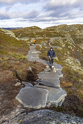 KA_211016_22 / Canis lupus familiaris / Hund