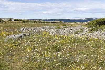 KA_220709_10