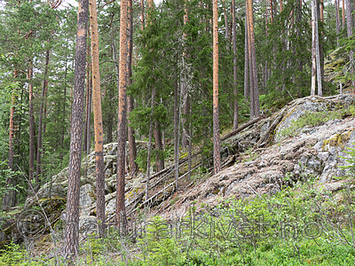P6301902