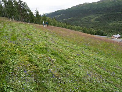 P7302162