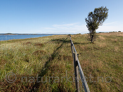 P8140148