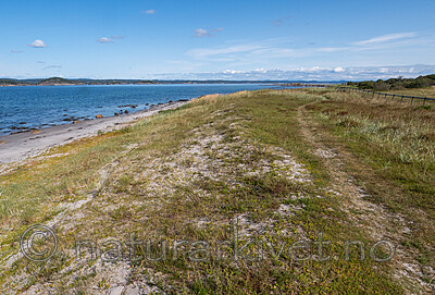 P8140194