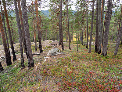 P9190452