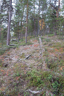 SIG_0270