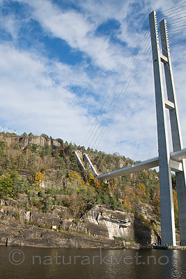 SIG_0647