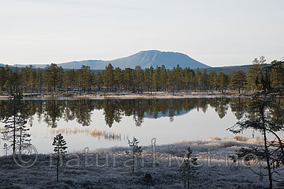 SIG_0675