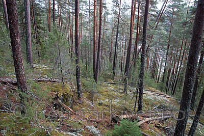 SIG_0713