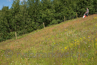 SIG_1643