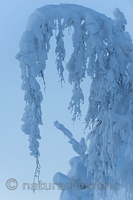 SIG_5870