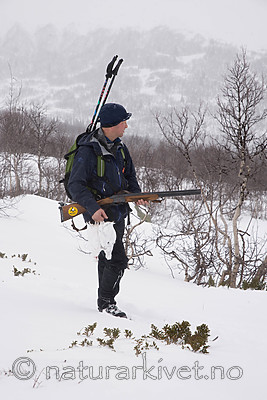 SIG_8586