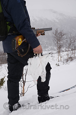 SIG_8605