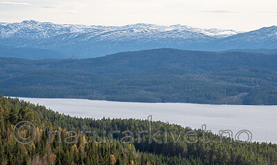 _5015632