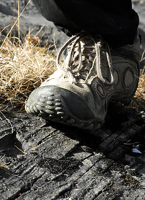 _SRE7454 / Callome multipartita / Vifteglye