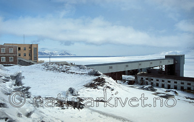 svalbard997