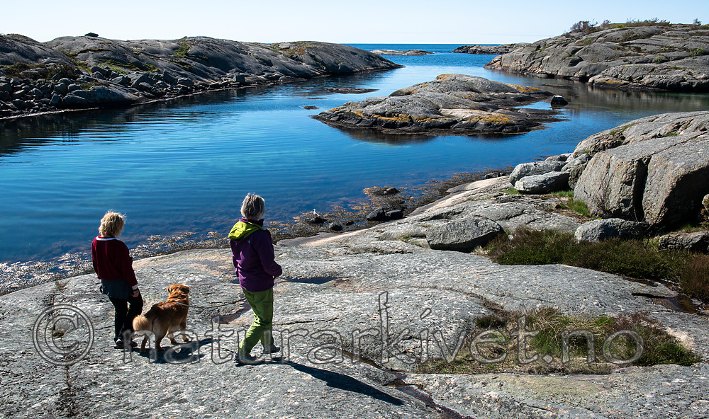 BB 15 0429 / Canis lupus familiaris / Hund