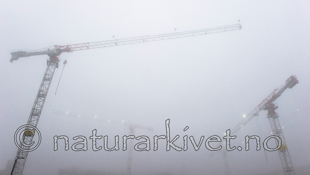 BB_20160317_0110