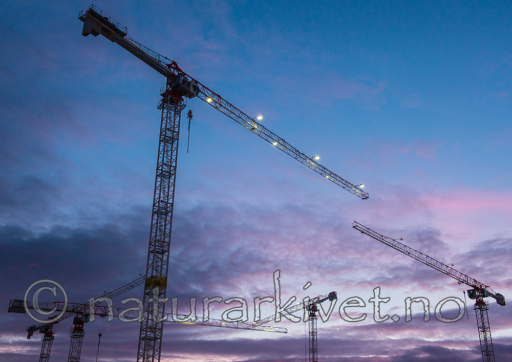 BB_20160318_0001