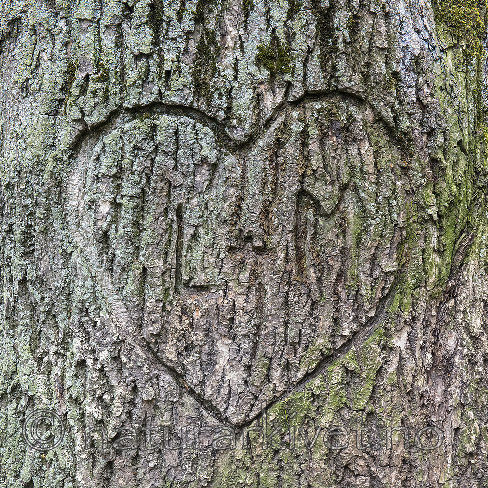 BB_20160520_0001