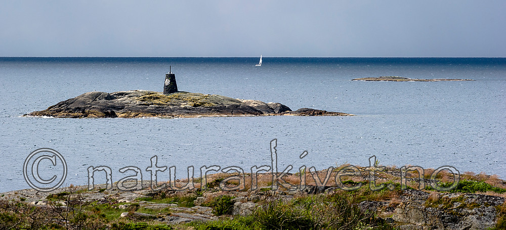 BB_20160612_0342