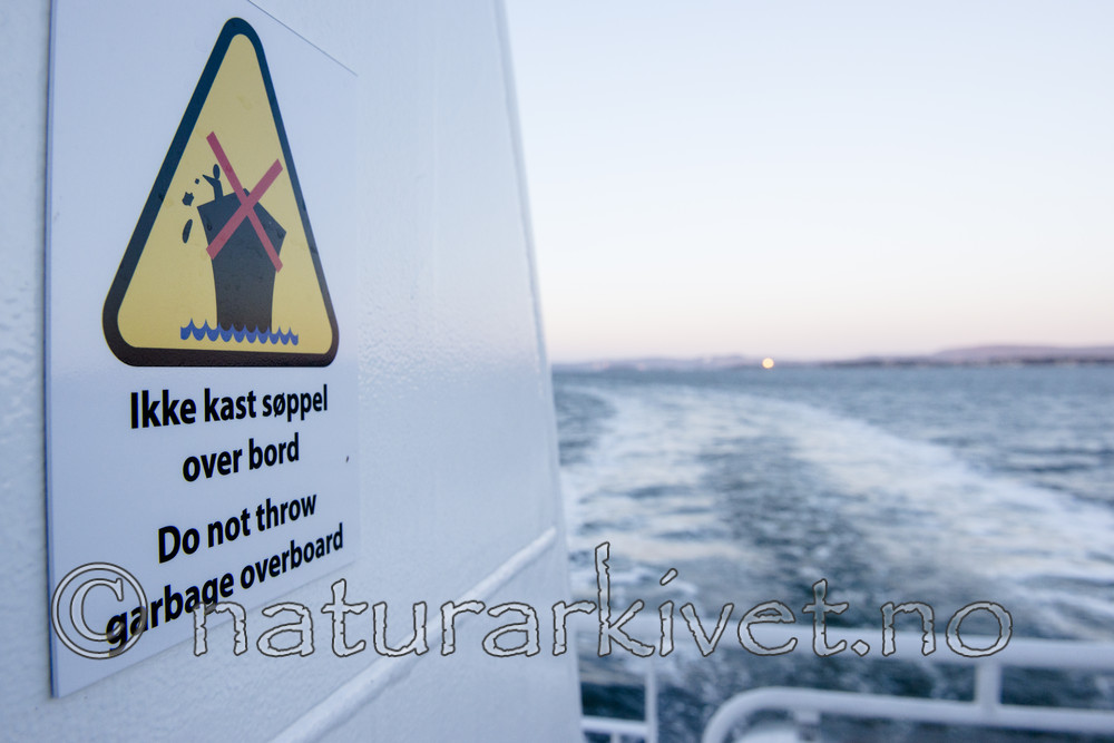 BB_20170405_0270